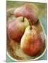 Three Red Williams Pears in a Bowl-Alain Caste-Mounted Photographic Print