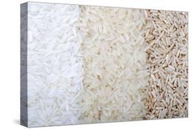 Three Rows of Rice Varieties-felker-Stretched Canvas