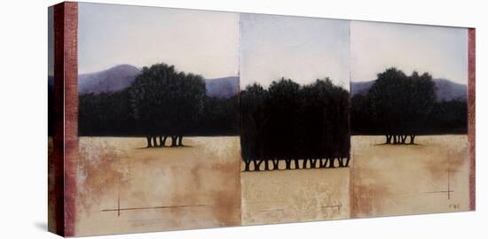Three's a Crowd-Travis Hall-Stretched Canvas