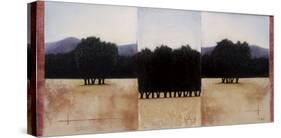 Three's a Crowd-Travis Hall-Stretched Canvas