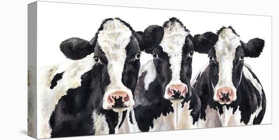 Three's A Crowd-Janie Howe-Stretched Canvas