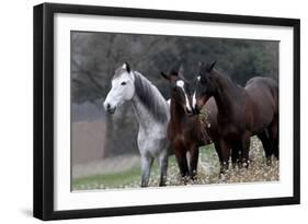 Three's Company-Jorge Llovet-Framed Giclee Print