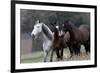 Three's Company-Jorge Llovet-Framed Giclee Print