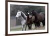 Three's Company-Jorge Llovet-Framed Giclee Print