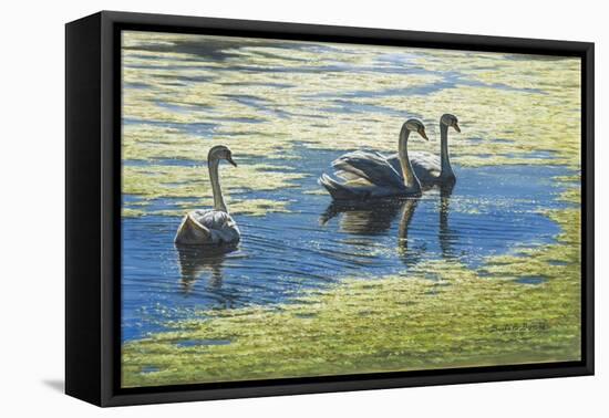 Three's Company-Bruce Dumas-Framed Stretched Canvas