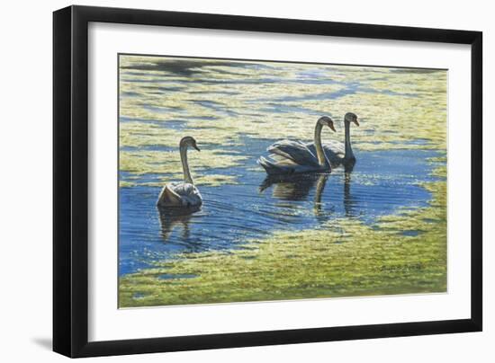 Three's Company-Bruce Dumas-Framed Giclee Print