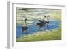 Three's Company-Bruce Dumas-Framed Giclee Print