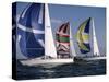 Three Sailboats-null-Stretched Canvas