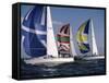 Three Sailboats-null-Framed Stretched Canvas