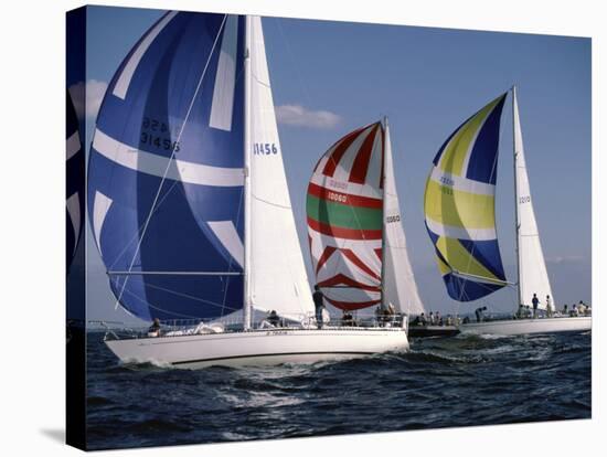 Three Sailboats-null-Stretched Canvas