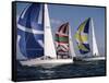 Three Sailboats-null-Framed Stretched Canvas