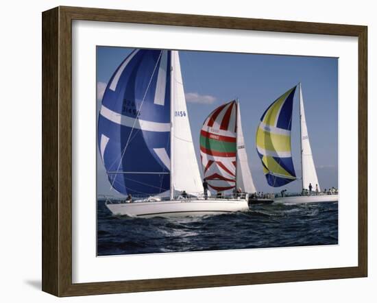 Three Sailboats-null-Framed Premium Photographic Print