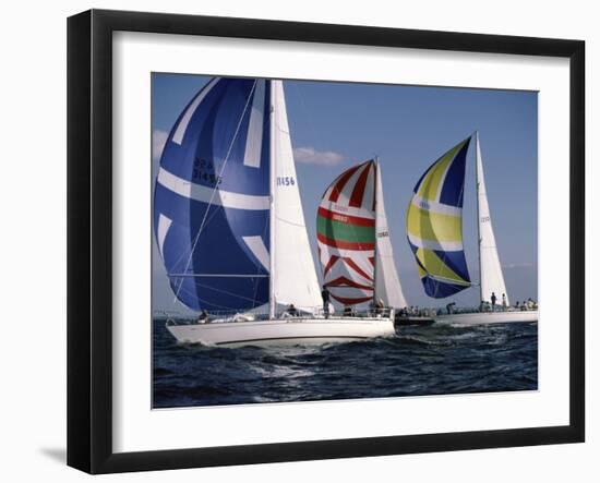 Three Sailboats-null-Framed Premium Photographic Print