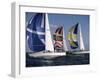 Three Sailboats-null-Framed Premium Photographic Print