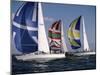 Three Sailboats-null-Mounted Premium Photographic Print