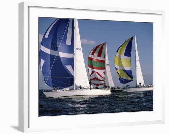 Three Sailboats-null-Framed Photographic Print