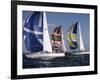 Three Sailboats-null-Framed Photographic Print