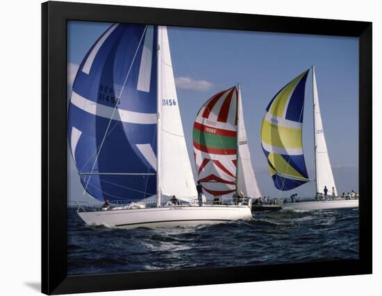 Three Sailboats-null-Framed Photographic Print