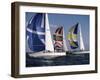 Three Sailboats-null-Framed Photographic Print