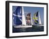 Three Sailboats-null-Framed Photographic Print