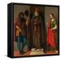 Three Saints: Roch, Anthony Abbot, and Lucy, c.1513-Giovanni Battista Cima Da Conegliano-Framed Stretched Canvas
