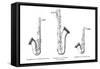 Three Saxophones-null-Framed Stretched Canvas