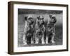 Three Schnauzers Sitting Together-null-Framed Photographic Print