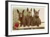 Three Scottie Dogs on Leashes-null-Framed Art Print