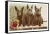 Three Scottie Dogs on Leashes-null-Framed Stretched Canvas