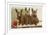 Three Scottie Dogs on Leashes-null-Framed Art Print