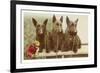 Three Scottie Dogs on Leashes-null-Framed Art Print