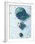 Three Seashells-null-Framed Photographic Print