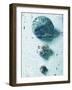 Three Seashells-null-Framed Photographic Print