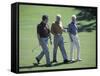 Three Senior Men Walking on a Golf Course-null-Framed Stretched Canvas