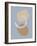 Three Shapes #2-Alisa Galitsyna-Framed Giclee Print