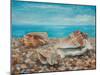 Three Shells-Cristiana Angelini-Mounted Giclee Print