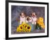 Three Shetland Sheepdog Puppies in a Gardening Can-Zandria Muench Beraldo-Framed Photographic Print