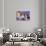 Three Shetland Sheepdog Puppies Sitting in Purple-Zandria Muench Beraldo-Photographic Print displayed on a wall