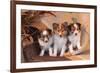 Three Shetland Sheepdog Puppies Sitting on a Buckboard-Zandria Muench Beraldo-Framed Photographic Print