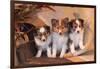 Three Shetland Sheepdog Puppies Sitting on a Buckboard-Zandria Muench Beraldo-Framed Photographic Print