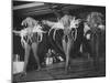 Three Showgirls on Stage at the Lido Club-Gjon Mili-Mounted Photographic Print