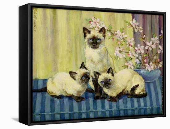 Three Siamese Cats-Winifred Humphery-Framed Stretched Canvas