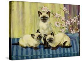 Three Siamese Cats-Winifred Humphery-Stretched Canvas