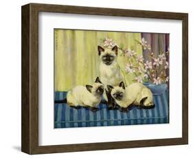 Three Siamese Cats-Winifred Humphery-Framed Giclee Print