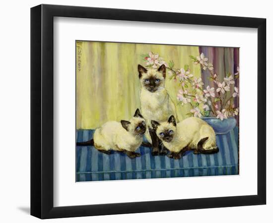 Three Siamese Cats-Winifred Humphery-Framed Giclee Print