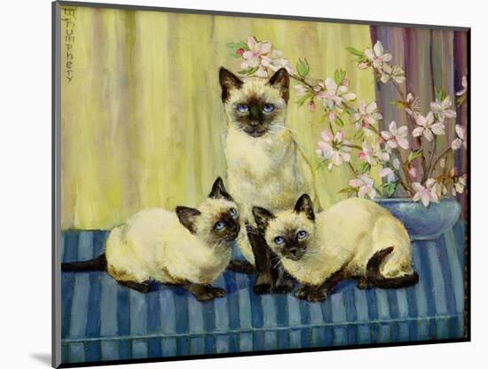 Three Siamese Cats-Winifred Humphery-Mounted Giclee Print