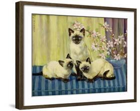 Three Siamese Cats-Winifred Humphery-Framed Giclee Print