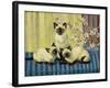 Three Siamese Cats-Winifred Humphery-Framed Giclee Print