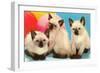 Three Siamese Kittens-null-Framed Art Print