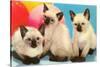 Three Siamese Kittens-null-Stretched Canvas